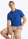 Men's Solid Polo - Surf the Web